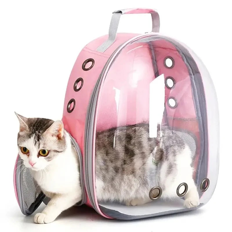 Transparent Bubble Design Pet Carrier Backpack