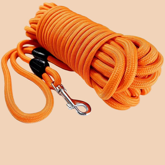 Dog Training Leashes