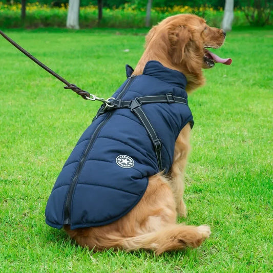 Pet Dog Jacket With Harness