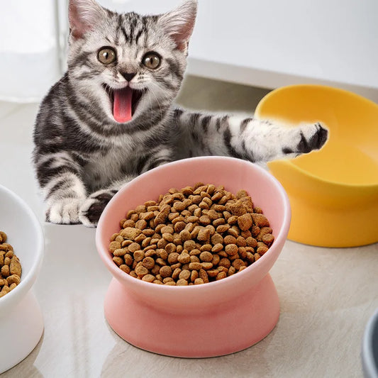 Ceramic Food Feeding Bowl