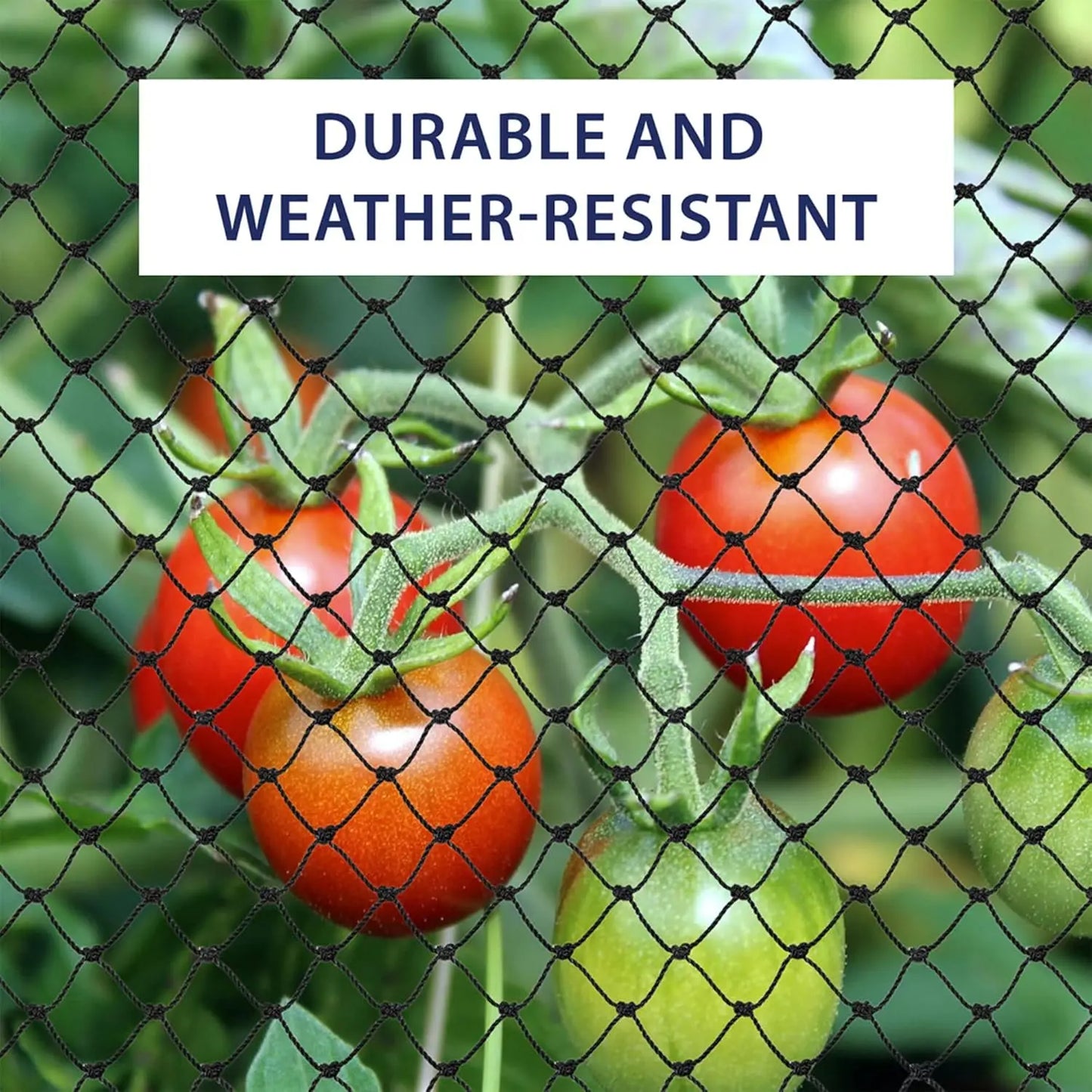 Steel Wire Reinforced Cat Anti-Fall Net