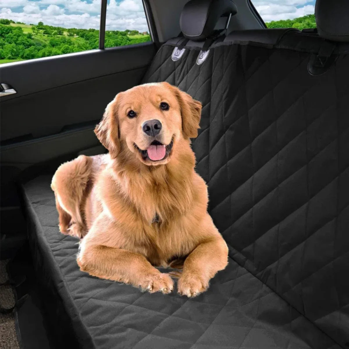 Waterproof Rear Pet Seat Protector Mat