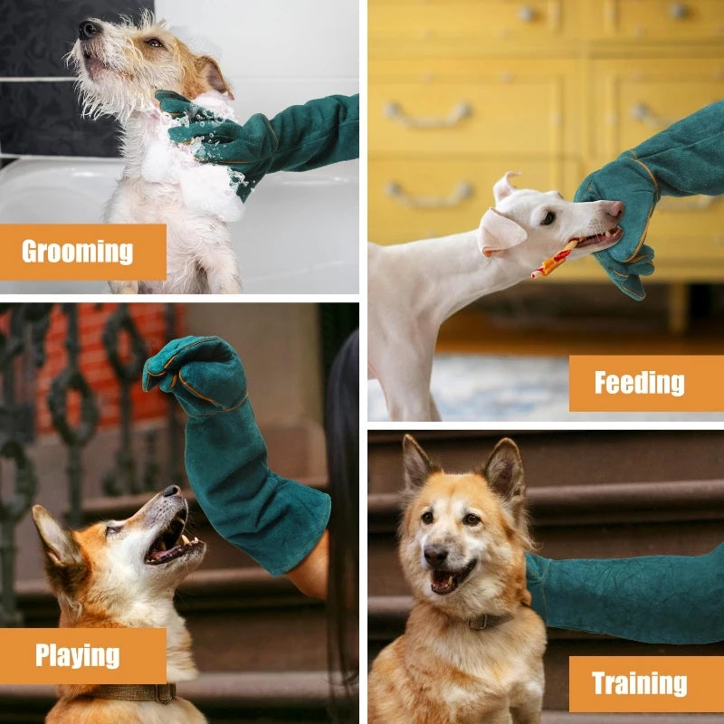 Anti-Bite Safety Gloves