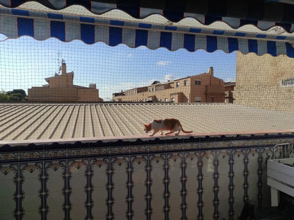 Steel Wire Reinforced Cat Anti-Fall Net