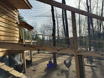 Steel Wire Reinforced Cat Anti-Fall Net