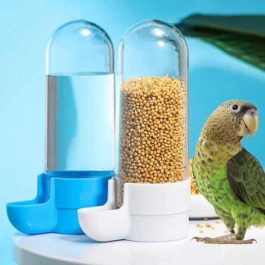 Bird Automatic Feeding Water Dispenser