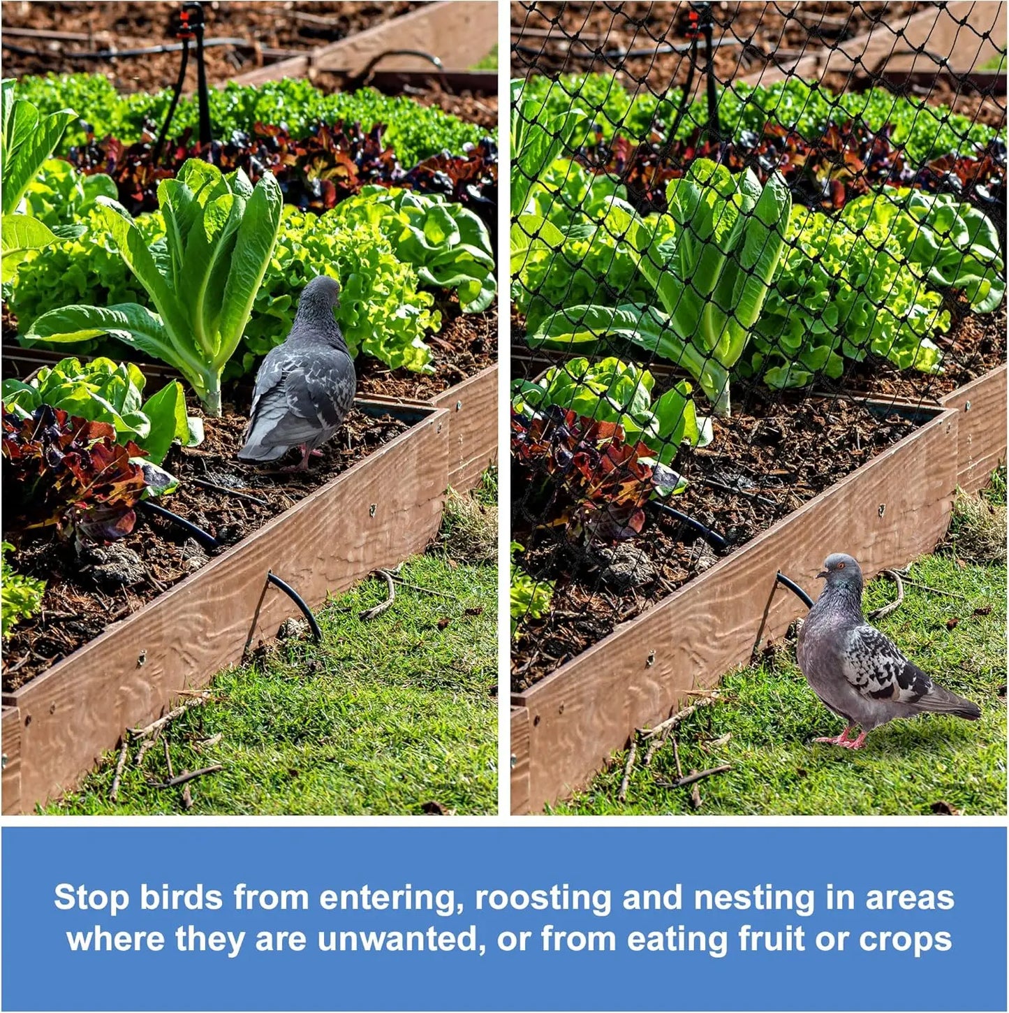 Steel Wire Reinforced Cat Anti-Fall Net