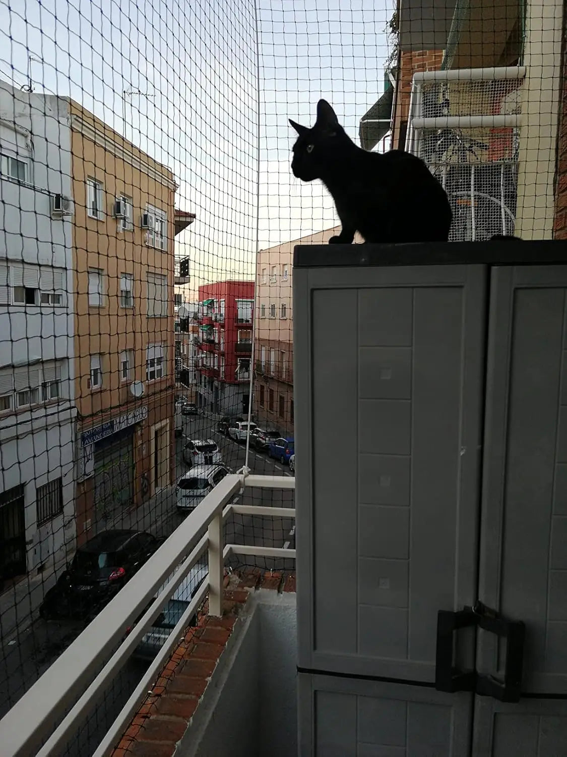 Steel Wire Reinforced Cat Anti-Fall Net