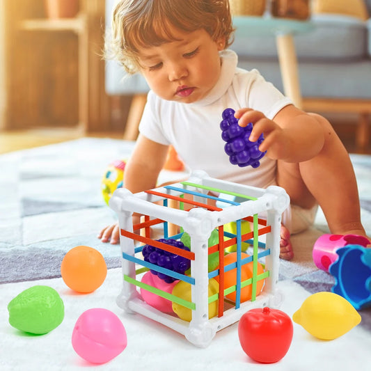Baby Montessori Sensory Toys