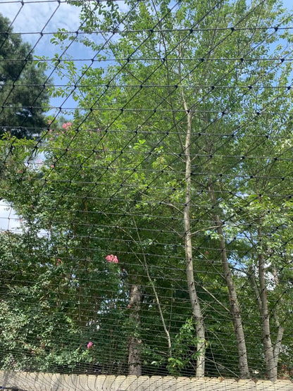 Steel Wire Reinforced Cat Anti-Fall Net