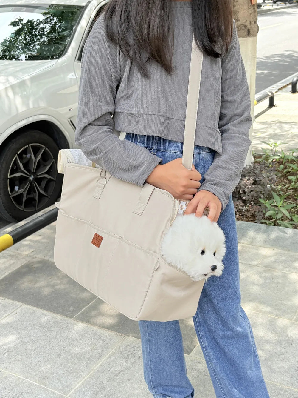 Portable Pet Carrying Shoulder Handbag