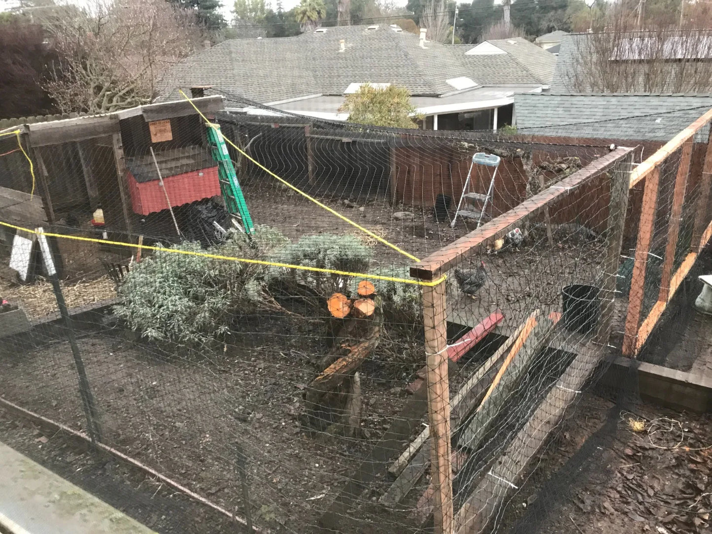 Steel Wire Reinforced Cat Anti-Fall Net