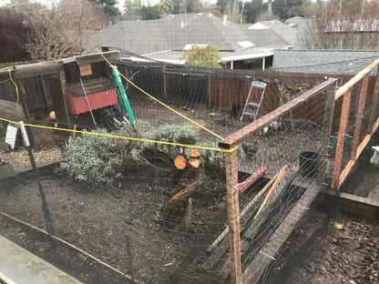 Steel Wire Reinforced Cat Anti-Fall Net