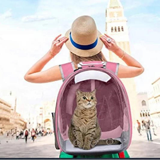 Transparent Bubble Design Pet Carrier Backpack