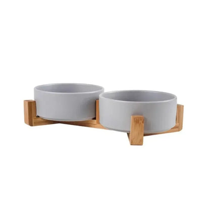 Simple Pet Double Bowl