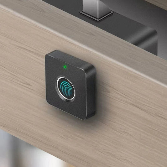 Smart Biometric Cabinet Lock