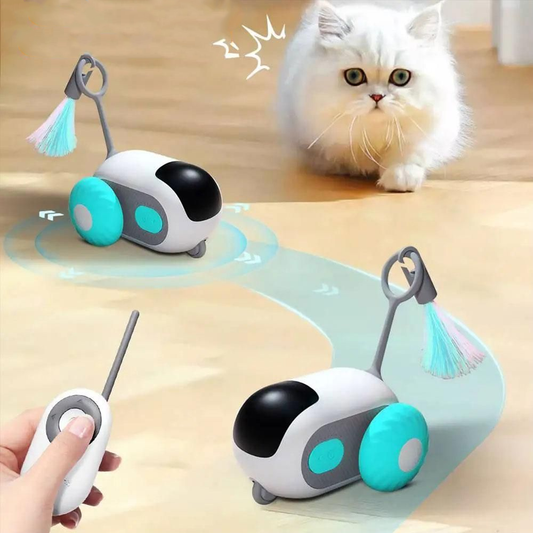 Smart Interactive Car Toy