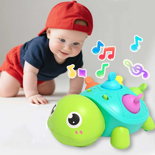 Baby Musical Turtle Toy