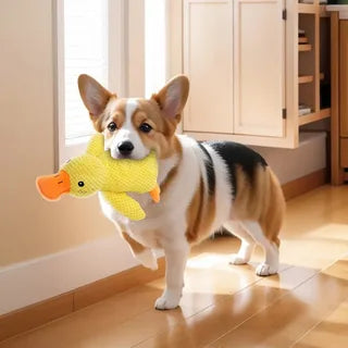 Dogs Duck Squeaky Plush Toy