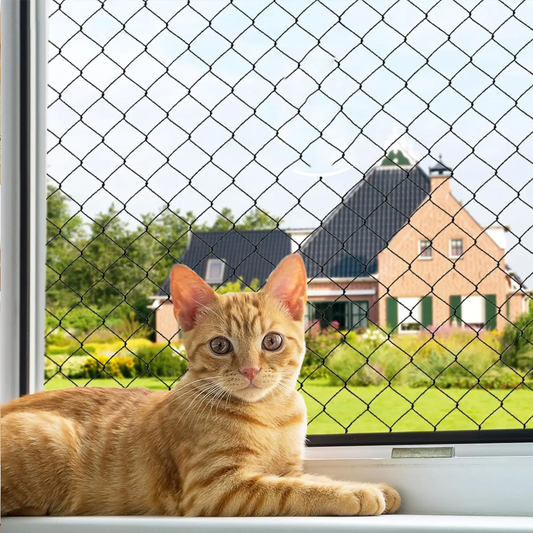 Steel Wire Reinforced Cat Anti-Fall Net